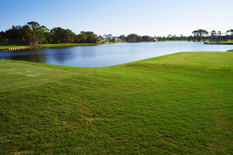 Grassy lane next to the pond. Florida, USA